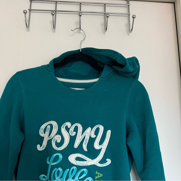Aeropostale P.S. Teal Hoodie - Picture 6 of 7